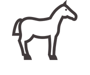 Makaton symbol for Horse