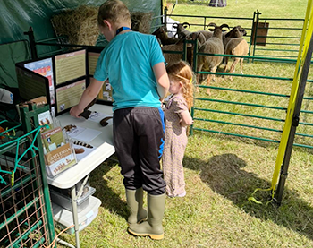 A boy and a younger girl looking at Dagmar Flock's display